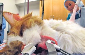 �������� ���� ������� � ���� ��������� �� $20 �����